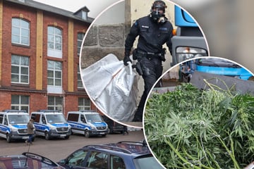 Großer Polizeieinsatz in Sachsen: XXL-Cannabis-Plantage ausgehoben