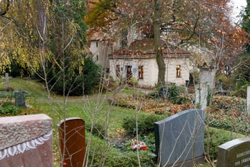 Schaurig schön - Eine Nacht auf dem Friedhof!