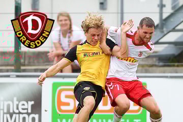 Dynamo-Dresden-Blog: SGD testet in der Länderspielpause gegen diesen Gegner