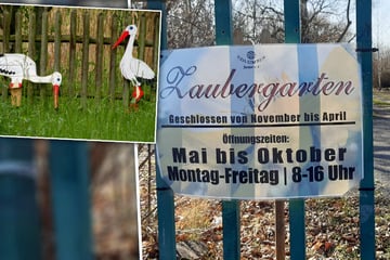 Leipzig: Bangen um Leipziger Zaubergarten: Ist das Kleinod noch zu retten?