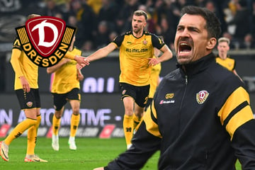 Erste Englische Woche seit April 2025: So denkt Dynamo-Coach Stamm darüber
