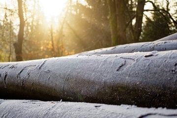 Nach Dauerregen in Stuttgart: Ab Montag zeigen sich erstmals wieder Sonnenstrahlen
