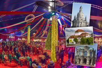 Dresden: Noch nichts vor am Neujahrstag? Diese sieben Tipps helfen Euch bei der Entscheidung