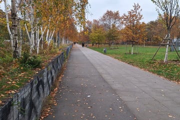 26-Jährige in Lene-Voigt-Park sexuell belästigt: Kripo fahndet nach Männer-Trio
