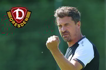 Die Tinte ist trocken! Dynamo verlängert mit Trainer Thomas Stamm