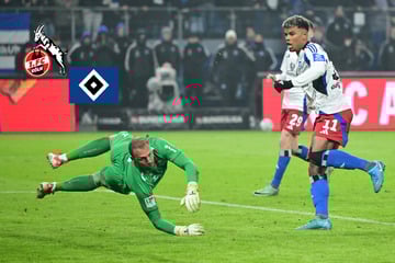 Duell der Aufsteiger: Setzt der HSV seine Erfolgsserie in Köln fort?