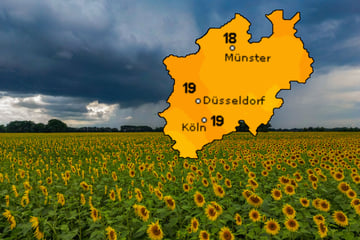Regen und Gewitter: In NRW wird es ungemütlich