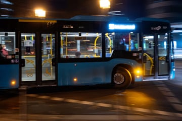 Internet feiert 15-jährigen Busentführer: Das sagt das betroffene Unternehmen