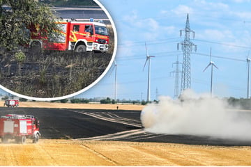 100 Hektar in Flammen: Feldbrand legt Verkehr auf der A9 lahm