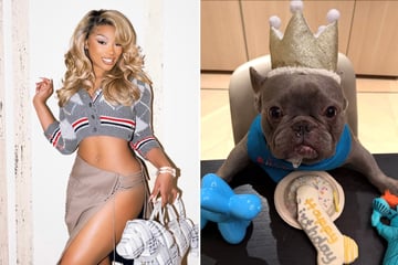Megan Thee Stallion celebrates her doggy "son's" birthday in epic style