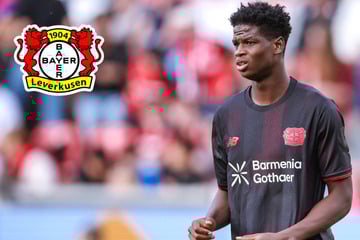 Ausrufezeichen an Konkurrenz: Leverkusen angelt sich diesen Abwehr-Bubi