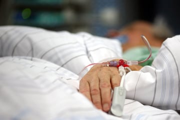 Seltenes Borna-Virus in Bayern: Mann gestorben, zweiter kämpft noch um Leben