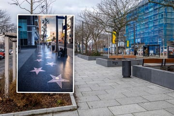 Dresden: Keine Mehrheit für den Dresdner "Walk of Fame"