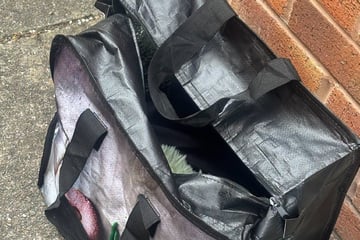 Mann entdeckt Tasche auf Sportplatz: Als er hineinschaut, muss er direkt umplanen