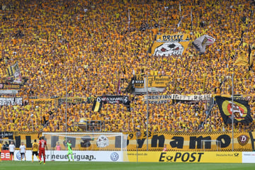 Dynamo Dresden Blog: Pokalduell gegen Darmstadt steht unmittelbar bevor!