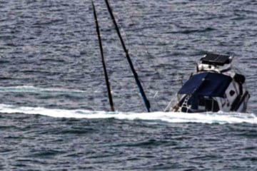 Yacht vor Küste versenkt! Orcas attackieren vier Boote an nur einem Tag