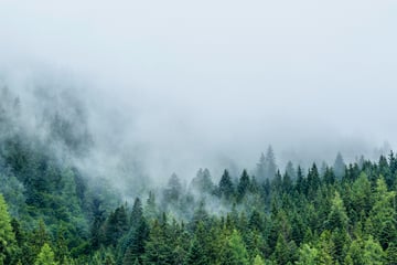 Horoskop heute: Tageshoroskop kostenlos für den 16.5.2025