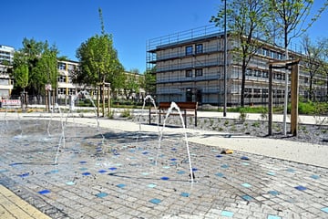 Dresden: Ewige Planung, fehlendes Geld: Schulneubau könnte auf die Cockerwiese