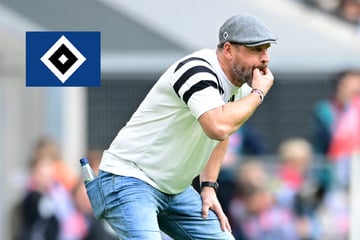 Wechsel mit Erfolg! HSV-Trainer Baumgart wird zum Glück gezwungen