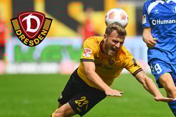 Kostete der Nackenschlag kurz vor der Pause Dynamo die Punkte?