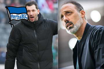 Abstiegskracher in Hoffenheim: Wird Hertha BSC zum Trainer-Killer?