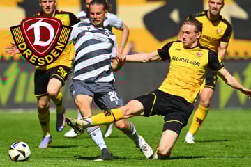 Dynamo Dresden: Warum für Sapina Bielefeld "sehr besonders" ist