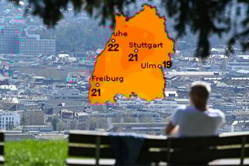 Frühlings-Explosion im Februar: Knackt Baden-Württemberg die 20-Grad-Marke?