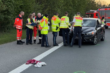 Hundeliebe endet tragisch: Frauchen rennt Tier auf Bundesstraße hinterher, dann kommt ein Auto