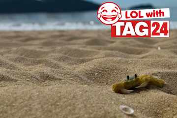 Joke of the Day for August 17, 2025: A funny for Sunday Funday