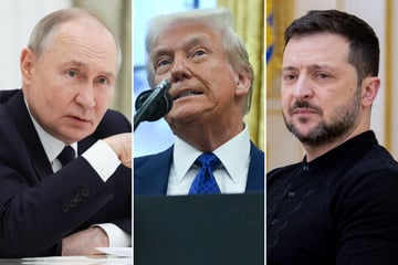 Trump confirms plan to meet with Putin and puts blame on Ukraine after Zelensky call