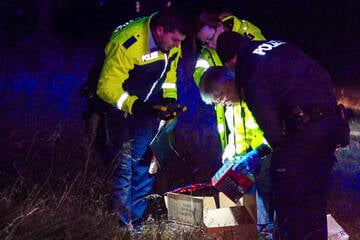 Ein Toter und mehrere Schwerverletzte bei Böller-Unfällen in Brandenburg