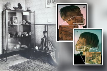 Mysteriöse Mumie untersucht: Ein Detail verblüfft die Forscher sehr