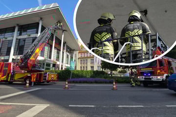 Wegen eines Vogels: Feuerwehr-Einsatz am Einkaufscenter