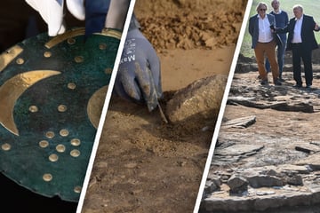 Sensations-Funde! Was Archäologen in Sachsen-Anhalt 2024 alles ausbuddelten