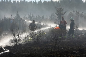Torfbrand an deutsch-tschechischer Grenze, auch sächsische Feuerwehrleute im Einsatz