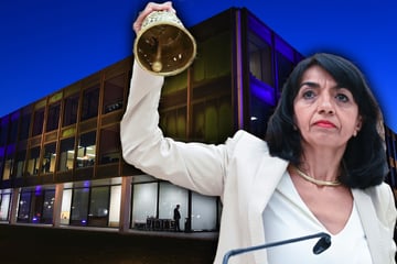 AfD-Party verboten: Landtagspräsidentin will keine rechten Influencer im Haus