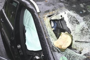 Schwerer Ast kracht während der Fahrt in Windschutzscheibe: So geht es den Insassen