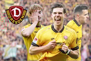 Die Besten, die Gewinner, die Verlierer: Das sind Dynamos Halbjahreszeugnisse