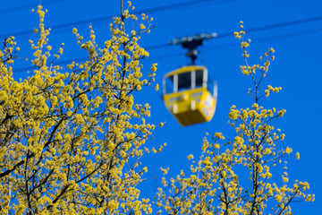 Köln: Sternenhimmel über Köln: Seilbahn lädt zur besonderen Nachtfahrt ein