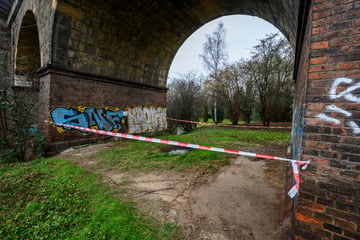 Grusel-Fund in Sachsen: Schädelknochen in Gestrüpp entdeckt