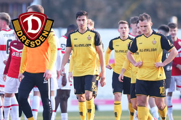 Dynamo-Dresden Blog: Wettbewerbszahlen! Bitterer Spieltag für die SGD