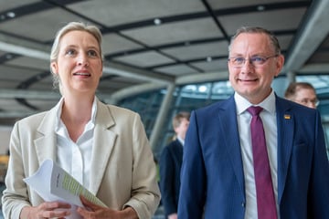 Premiere im "Deutschlandtrend": AfD überholt erstmals Union!