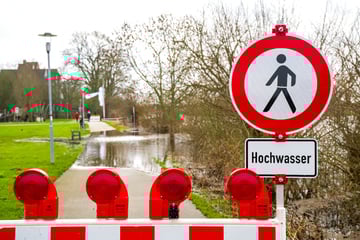 Hochwasser: Regen und Schneeschmelze sorgen für Überflutungen in Bayern