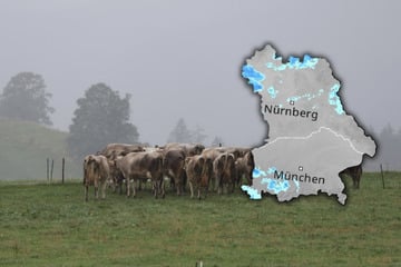 Wetter-Achterbahn in Bayern: Kurze Sonnenpausen, dann droht neuer Dauerregen