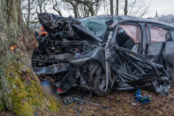 Auto knallt gegen Baum: Fahrer (†39) hat keine Chance zu überleben