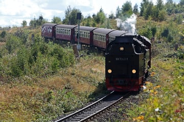 Waldbrandgefahr im Harz: Brockenbahn stellt um auf Diesel-Loks