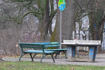 Leipzig: Explosion in Leipziger Park: Mann will Böller entsorgen, der plötzlich hochgeht