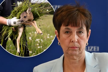 Nach Rehkitz-Massaker in Sachsen: Jetzt ermittelt die Staatsanwaltschaft