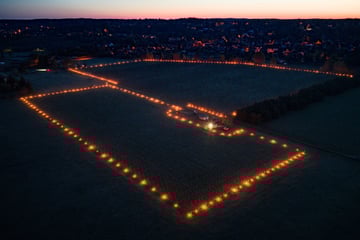 Wein in Flammen! Warum macht Wackerbarth das mit seinen Reben?
