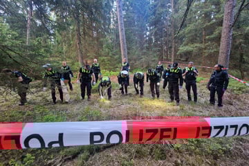 Hamburg: Skelett im Wald entdeckt: Hund findet Knochen, Halter nutzt Kotbeutel als Marker